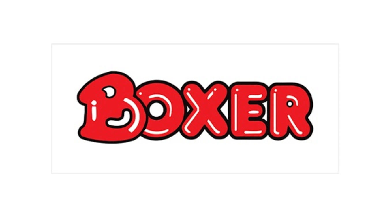 50 Talented Graduates Required for Boxer SETA Graduate Pragramme 2026 - 12 Months