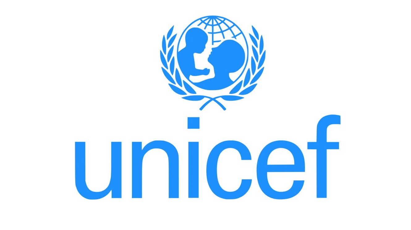 UNICEF Remote Opportunity for South Africans: Fix My Food Youth Advocacy Consultant