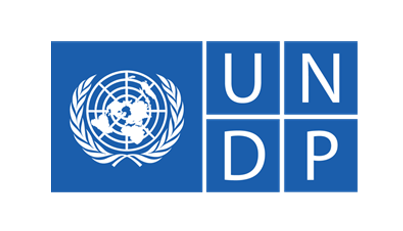 Home Based UNDP Internship Programme on Social Cohesion and Inclusion - Closing Soon
